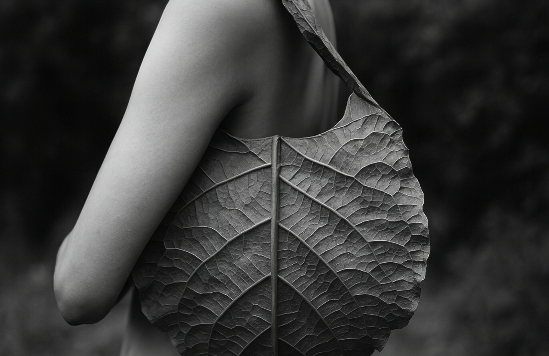 Sustainability