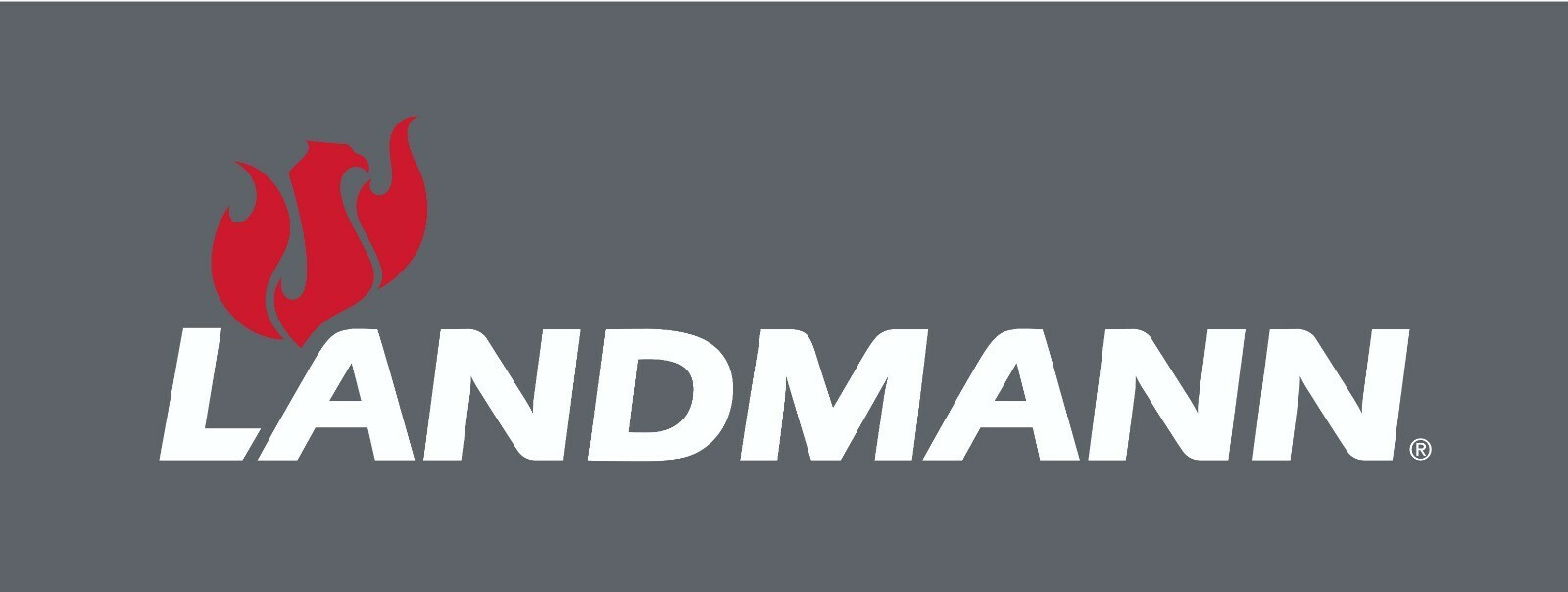 logo di LANDMANN