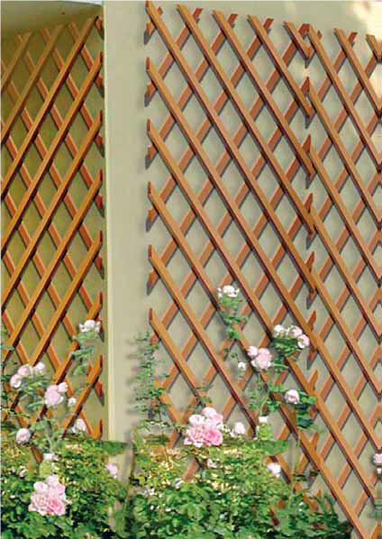 IN LEGNO TRALICCIO ESTENSIBILE giardino pianta rampicante sostegno recinzione legno-FSC 