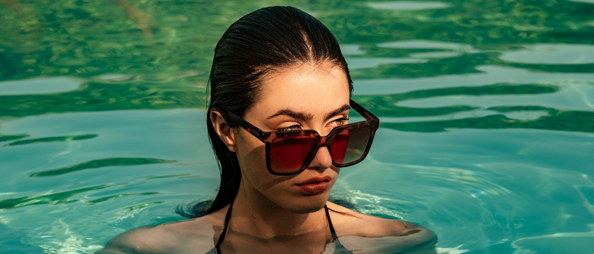 Discover the collection