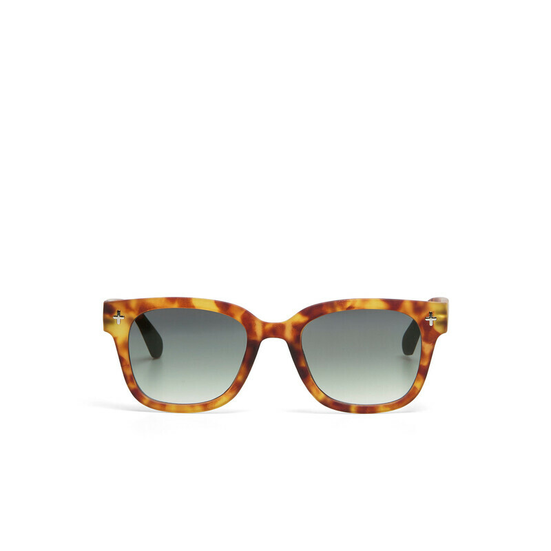 OKKIA شمس جيوفاني Sahara Havana (عدسات خضراء)