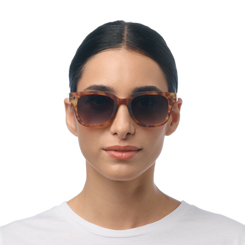 OKKIA شمس جيوفاني Sahara Havana (عدسات خضراء)