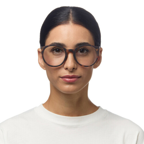 Reading Bologna reading   Classic Havana