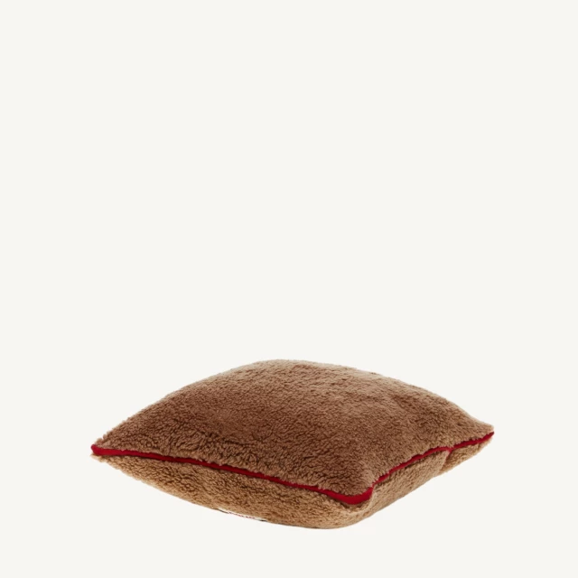 Coussin en soie et chameau petit